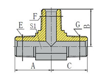 BSPT MALE