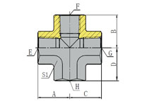 BSPT FEMALE