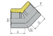 45º BSPT FEMALE