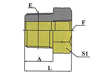 BSPT Male/BSPT Female-P5T-SP