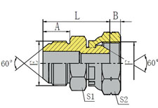 METRIC MALE 60/BSP FEMALE 60º CONE