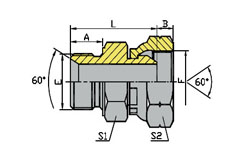 METRIC MALE 60º SEAT/BSP FEMALE 60º CONE