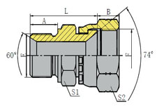 公制外螺纹60º内锥/JIC内螺纹74º内锥