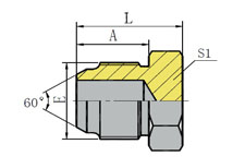 METRIC MALE 60º CONE