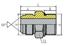 METRIC MALE 60º CONE/BSP MALE WITH O-RING