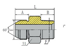 METRIC MALE 60º CONE/BSPT MALE