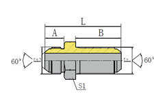 60º JIS GAS MALE BULKHEAD