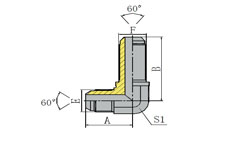 60º JIS GAS MALE BULKHEAD