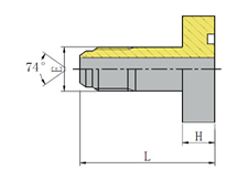 MALE 74º CONE/SAE FLANGE