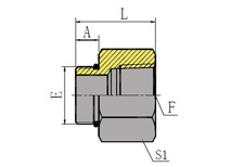 AE外螺纹带O形圈/英锥管内螺纹
