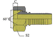 METRIC FEMALE 60ºCONE