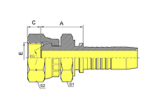 BSP Female 60ºCone Double Hexagon