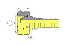 BSP Female 60ºCone O-Ring